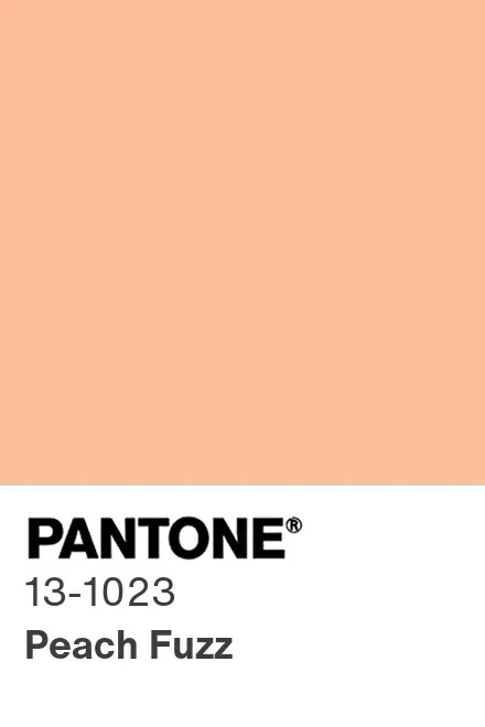 PANTONE 2024 年度代表色正式发布